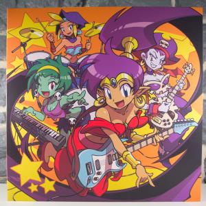 Shantae Soundtrack Vinyl (01)